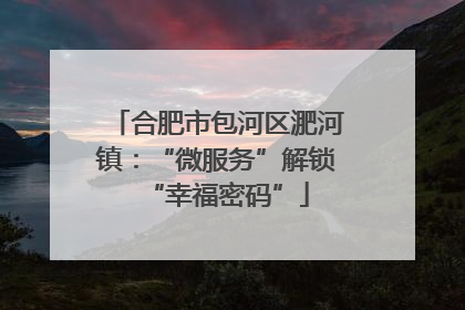 合肥市包河区淝河镇：“微服务”解锁“幸福密码”