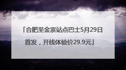 合肥至金寨站点巴士5月29日首发，开线体验价29.9元