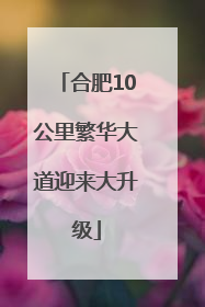 合肥10公里繁华大道迎来大升级
