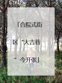 合院式街区“大吉巷”今开张