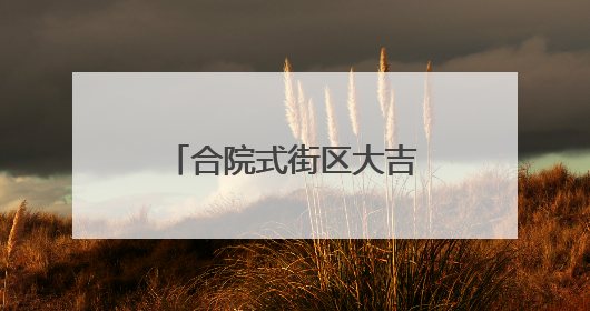合院式街区大吉巷今天亮相！吸引大批市民涌入