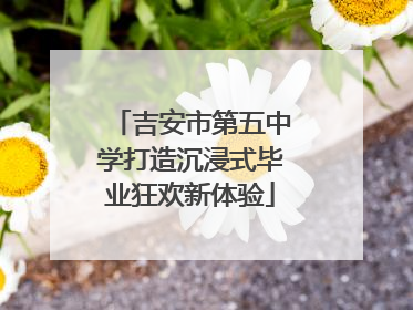 吉安市第五中学打造沉浸式毕业狂欢新体验