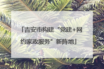 吉安市构建“党建+网约家政服务”新阵地