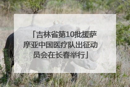 吉林省第10批援萨摩亚中国医疗队出征动员会在长春举行