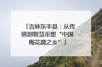 吉林东丰县：从传统到智慧重塑“中国梅花鹿之乡”