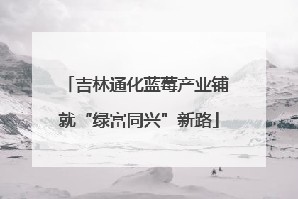 吉林通化蓝莓产业铺就“绿富同兴”新路