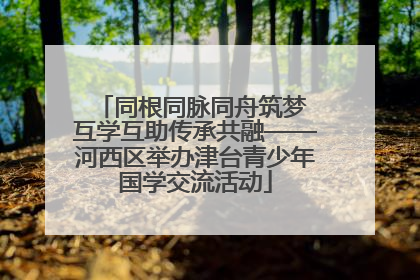 同根同脉同舟筑梦 互学互助传承共融——河西区举办津台青少年国学交流活动