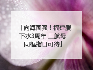 向海图强！福建舰下水3周年 三航母同框指日可待