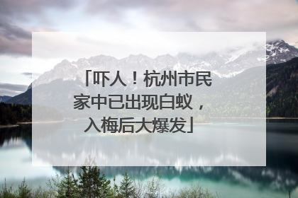 吓人！杭州市民家中已出现白蚁，入梅后大爆发