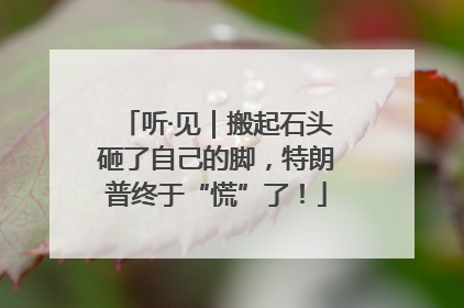 听·见｜搬起石头砸了自己的脚，特朗普终于“慌”了！