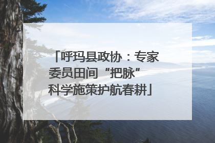 呼玛县政协：专家委员田间“把脉” 科学施策护航春耕