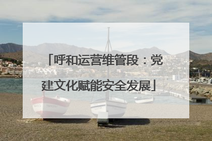 呼和运营维管段：党建文化赋能安全发展