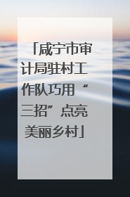 咸宁市审计局驻村工作队巧用“三招”点亮美丽乡村