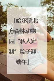 哈尔滨北方森林动物园“私人定制”粽子迎端午
