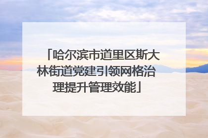 哈尔滨市道里区斯大林街道党建引领网格治理提升管理效能