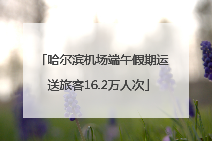 哈尔滨机场端午假期运送旅客16.2万人次