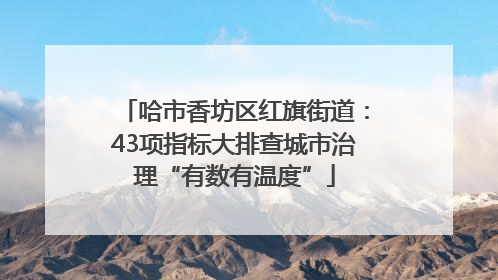哈市香坊区红旗街道：43项指标大排查城市治理“有数有温度”