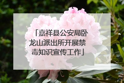 嘉祥县公安局卧龙山派出所开展禁毒知识宣传工作