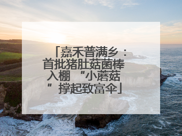 嘉禾普满乡：首批猪肚菇菌棒入棚 “小蘑菇”撑起致富伞