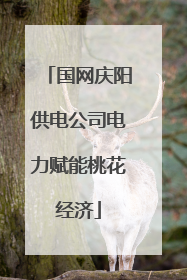国网庆阳供电公司电力赋能桃花经济