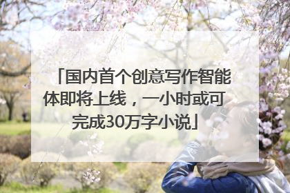 国内首个创意写作智能体即将上线，一小时或可完成30万字小说