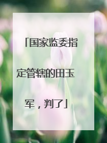 国家监委指定管辖的田玉军，判了