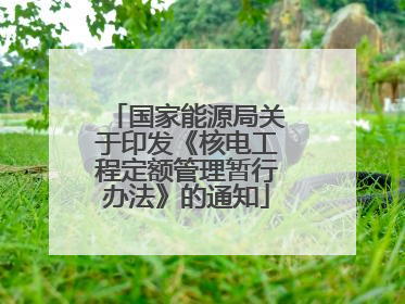 国家能源局关于印发《核电工程定额管理暂行办法》的通知