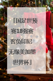 国足世预赛18强赛客负印尼 无缘美加墨世界杯