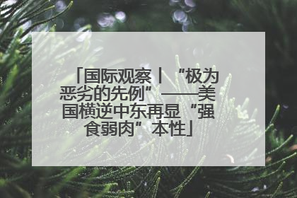 国际观察丨“极为恶劣的先例”——美国横逆中东再显“强食弱肉”本性