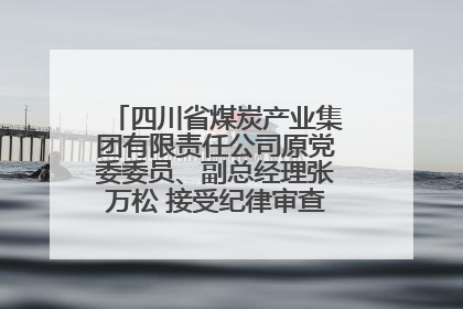 四川省煤炭产业集团有限责任公司原党委委员、副总经理张万松 接受纪律审查和监察调查