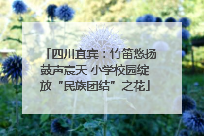 四川宜宾：竹笛悠扬鼓声震天 小学校园绽放“民族团结”之花