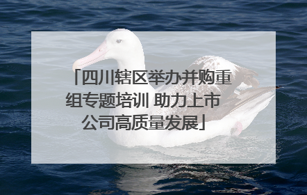 四川辖区举办并购重组专题培训 助力上市公司高质量发展