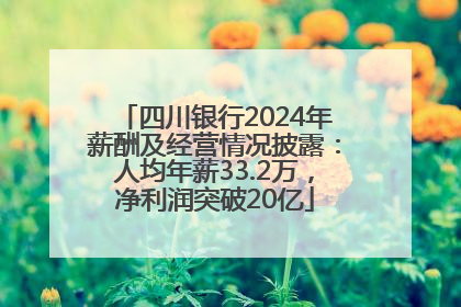 四川银行2024年薪酬及经营情况披露：人均年薪33.2万，净利润突破20亿