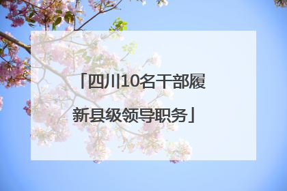 四川10名干部履新县级领导职务