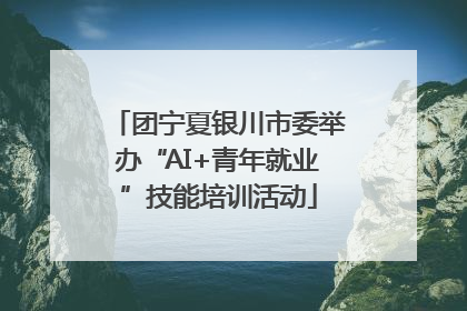 团宁夏银川市委举办“AI+青年就业”技能培训活动