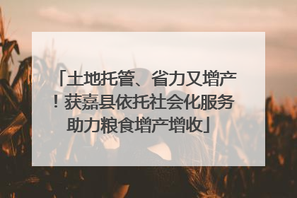 土地托管、省力又增产！获嘉县依托社会化服务助力粮食增产增收