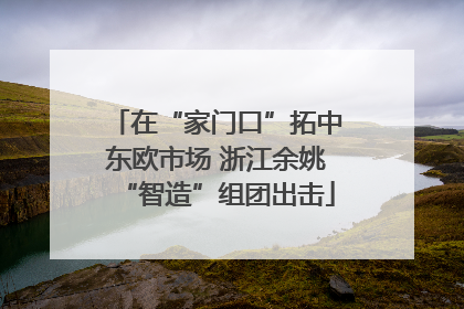 在“家门口”拓中东欧市场 浙江余姚“智造”组团出击
