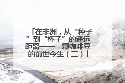 在非洲，从“种子”到“杯子”的遥远距离——一颗咖啡豆的前世今生（三）