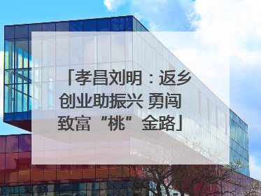 孝昌刘明：返乡创业助振兴 勇闯致富“桃”金路