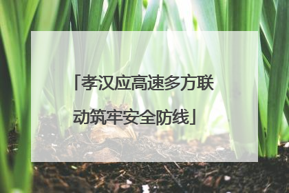 孝汉应高速多方联动筑牢安全防线