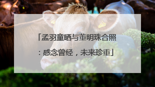孟羽童晒与董明珠合照：感念曾经，未来珍重
