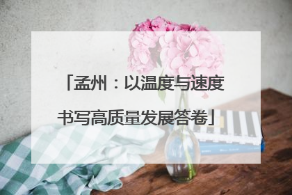 孟州：以温度与速度书写高质量发展答卷