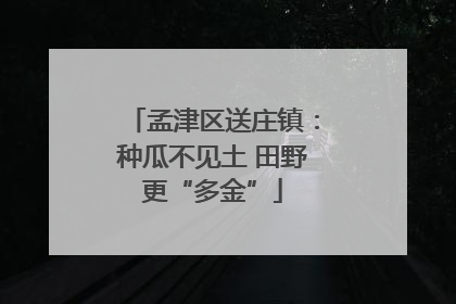 孟津区送庄镇：种瓜不见土 田野更“多金”