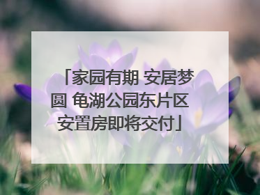 家园有期 安居梦圆 龟湖公园东片区安置房即将交付