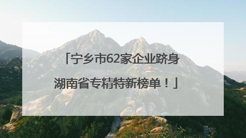 宁乡市62家企业跻身湖南省专精特新榜单！