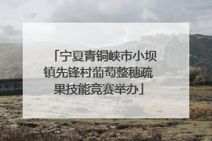 宁夏青铜峡市小坝镇先锋村葡萄整穗疏果技能竞赛举办