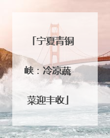 宁夏青铜峡：冷凉蔬菜迎丰收