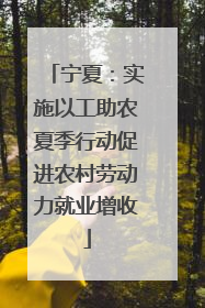 宁夏：实施以工助农夏季行动促进农村劳动力就业增收