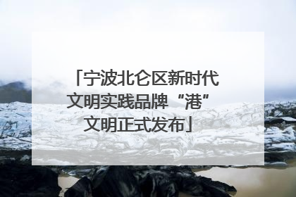 宁波北仑区新时代文明实践品牌“港”文明正式发布