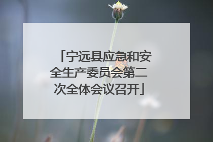 宁远县应急和安全生产委员会第二次全体会议召开